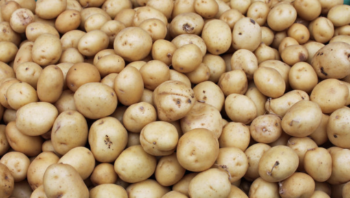 Baby Potatoes 500g Pack