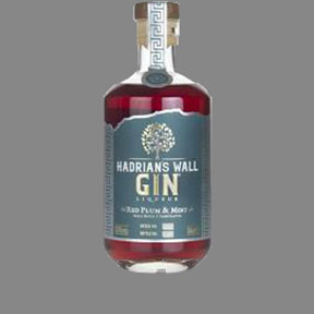 Hadrians Wall Red Plum & Mint Gin 50cl